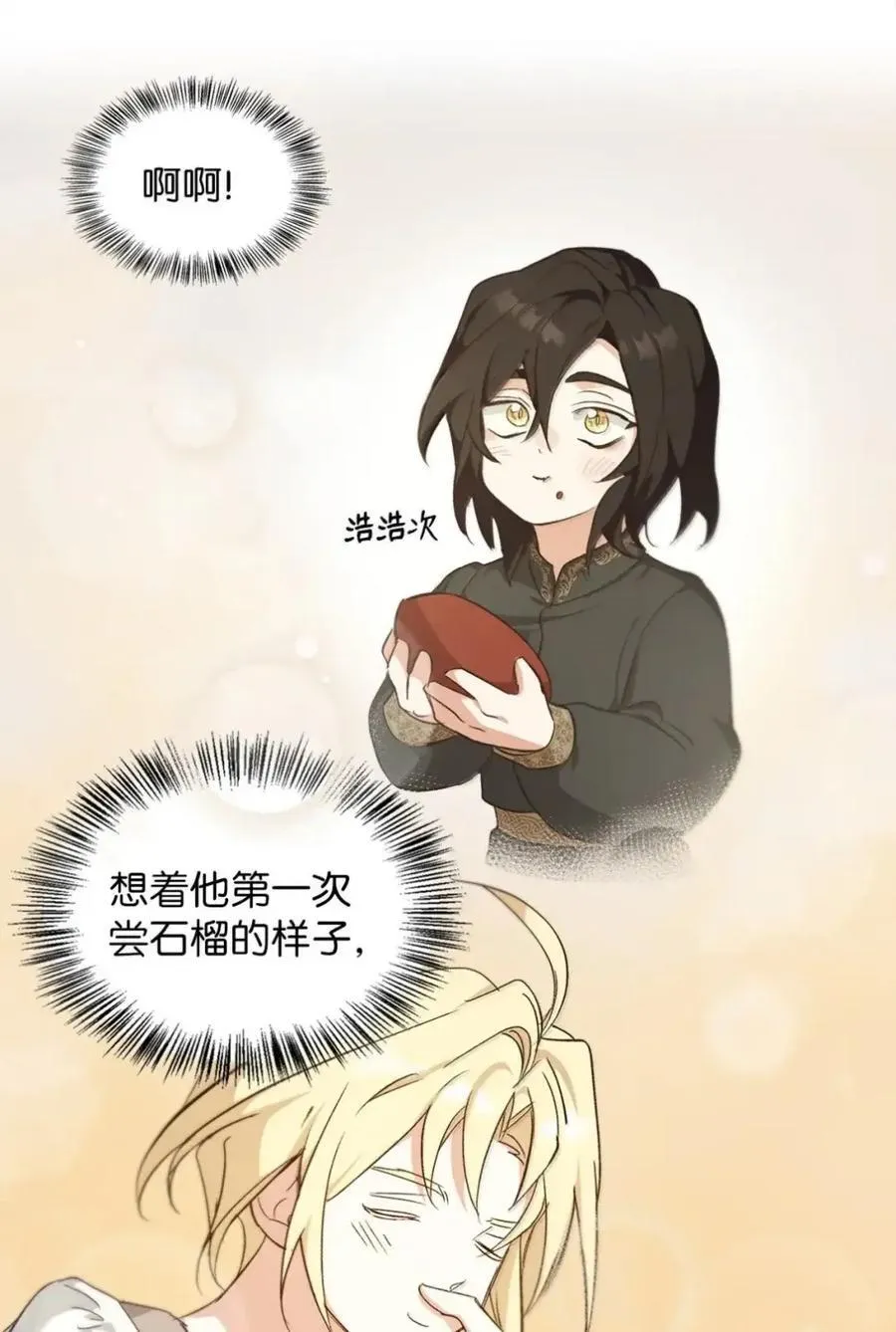 039 石榴 第54页