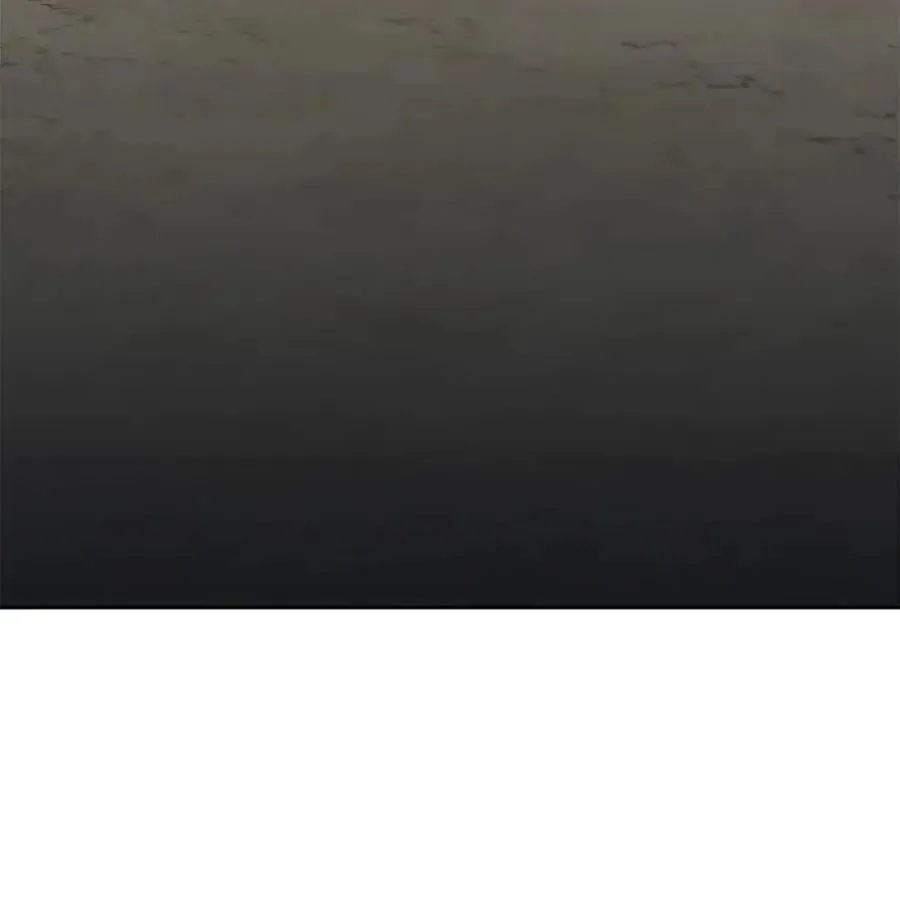039 石榴 第66页