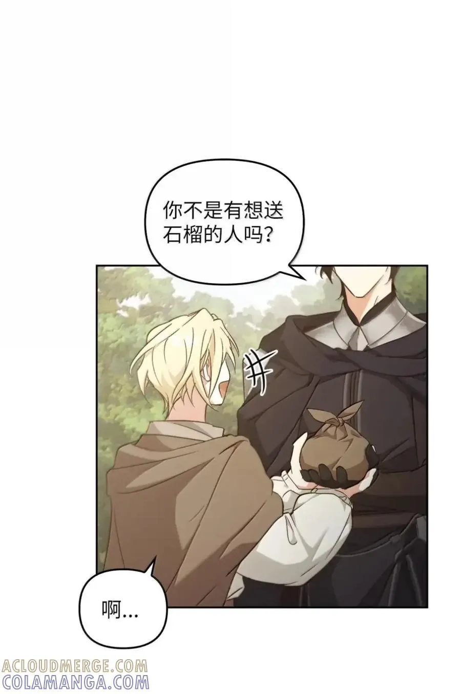 040 重现 第77页