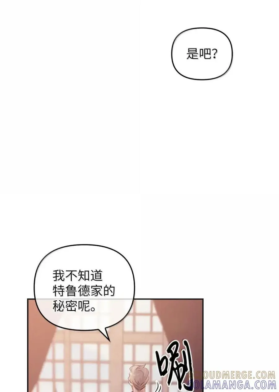 063 隐藏的真相 第29页