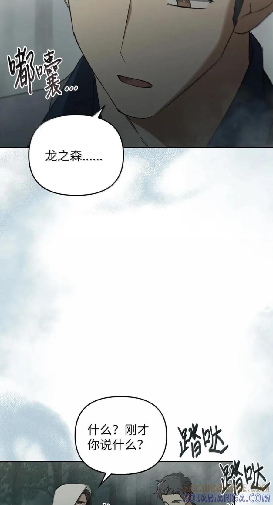 071 迷雾森林 第5页