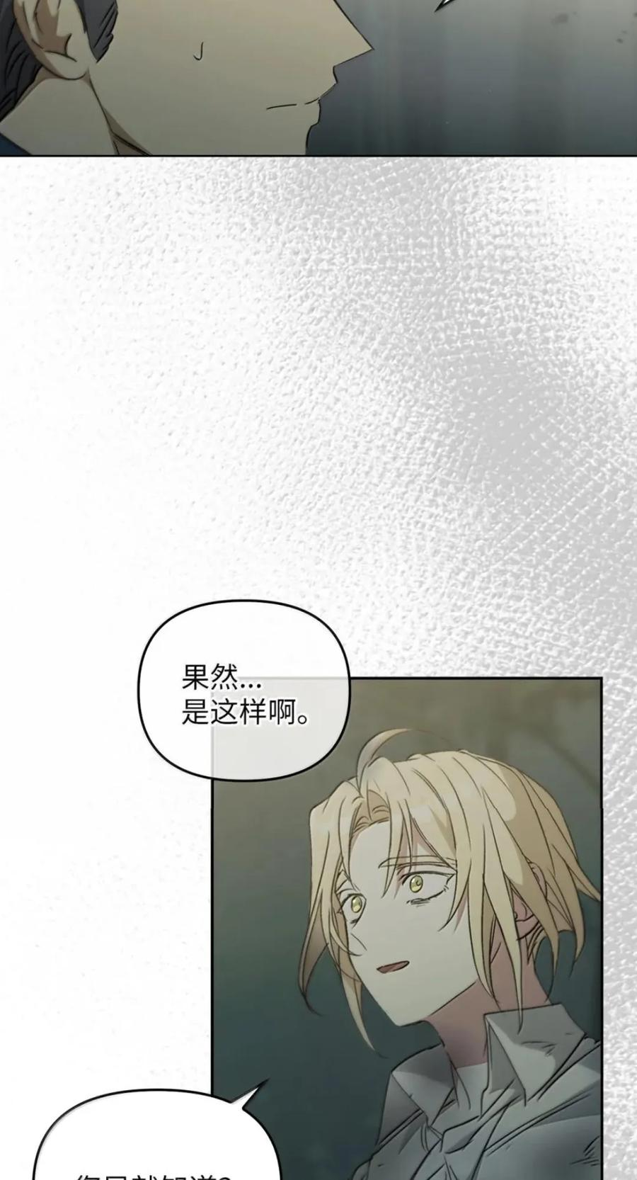 071 迷雾森林 第30页