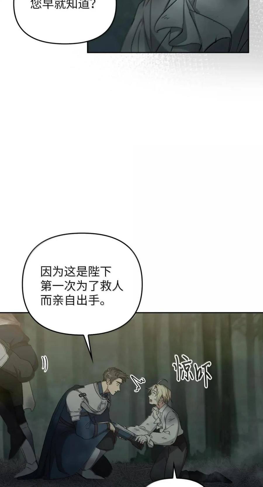 071 迷雾森林 第31页