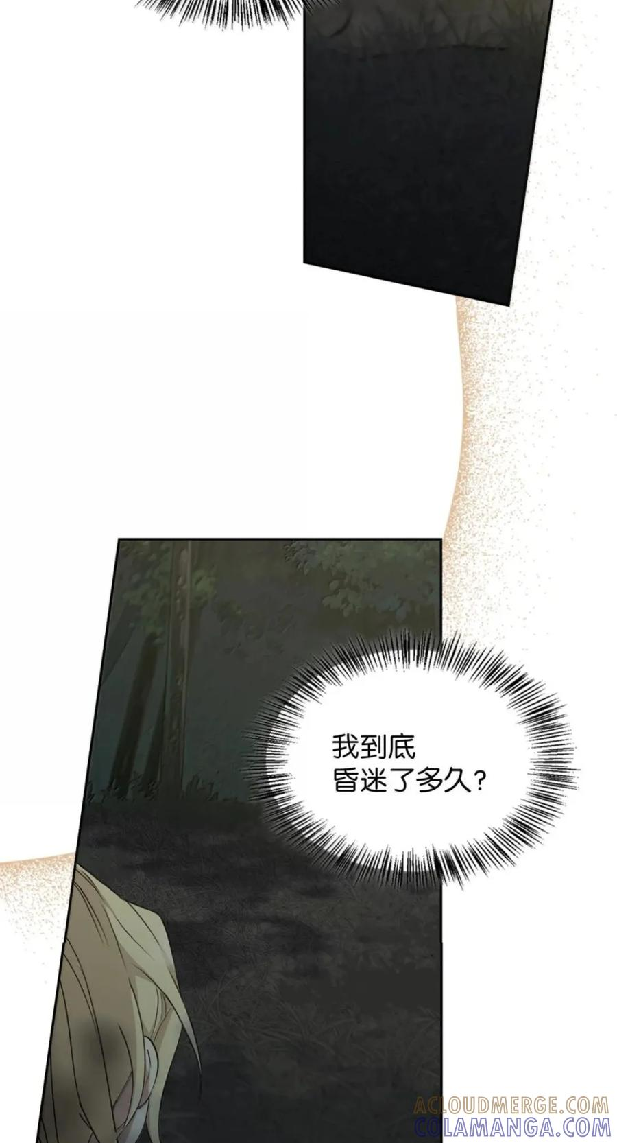 071 迷雾森林 第33页