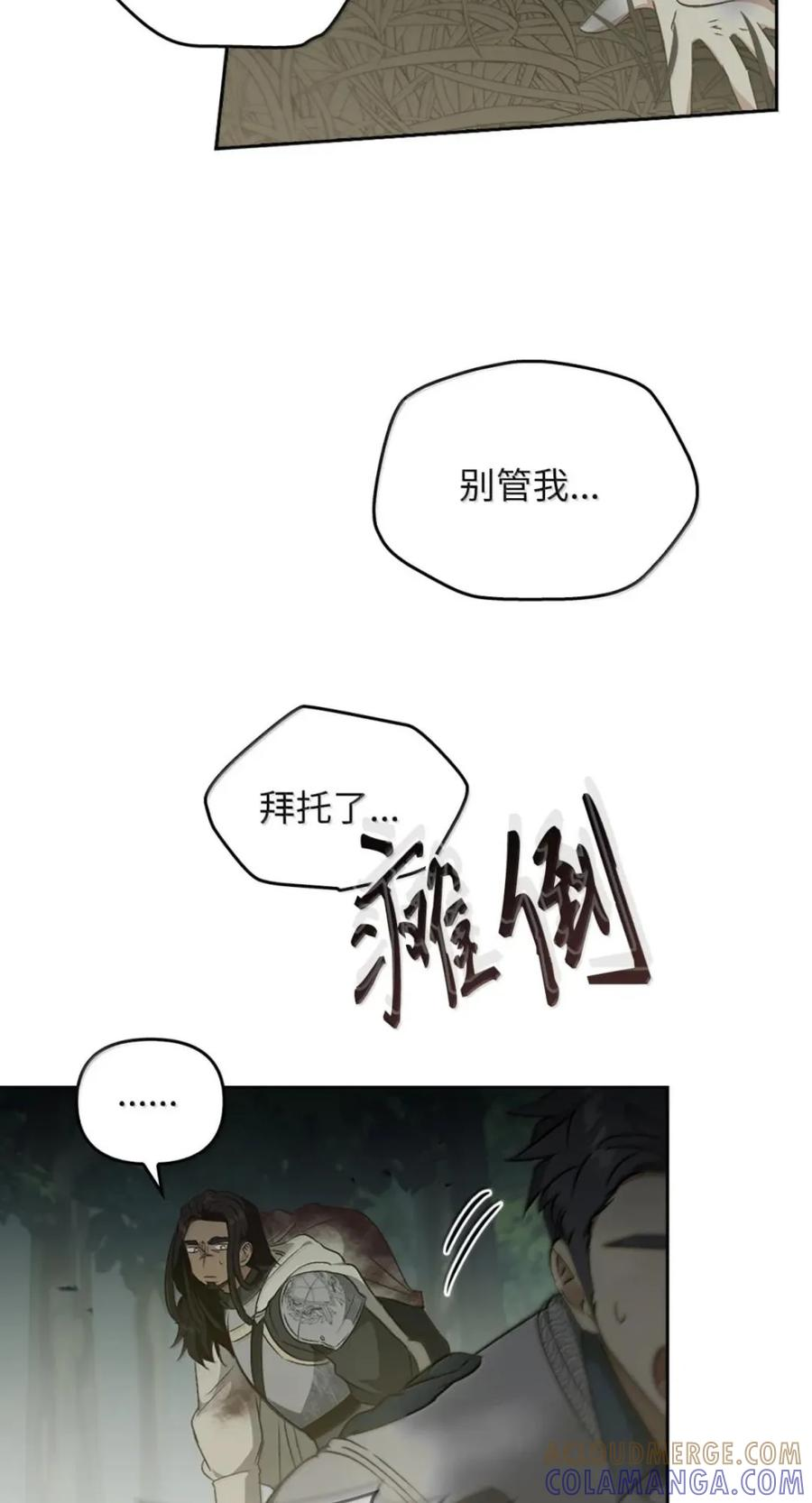 071 迷雾森林 第41页