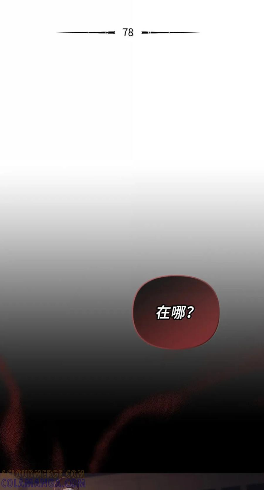 078 消失之谜 第37页