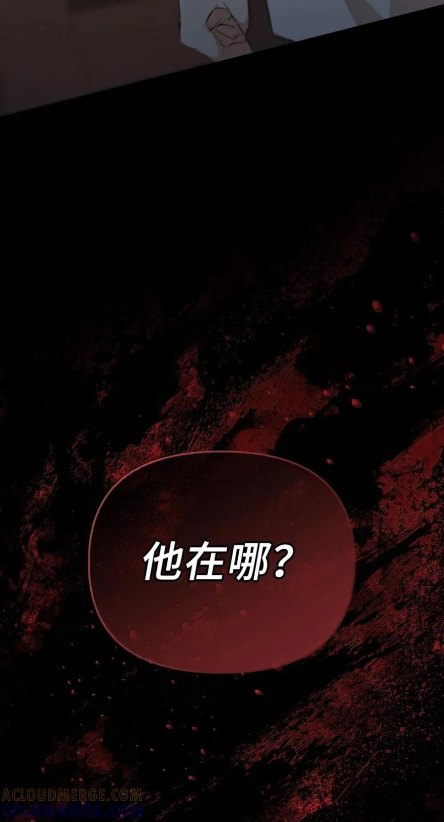 078 消失之谜 第40页