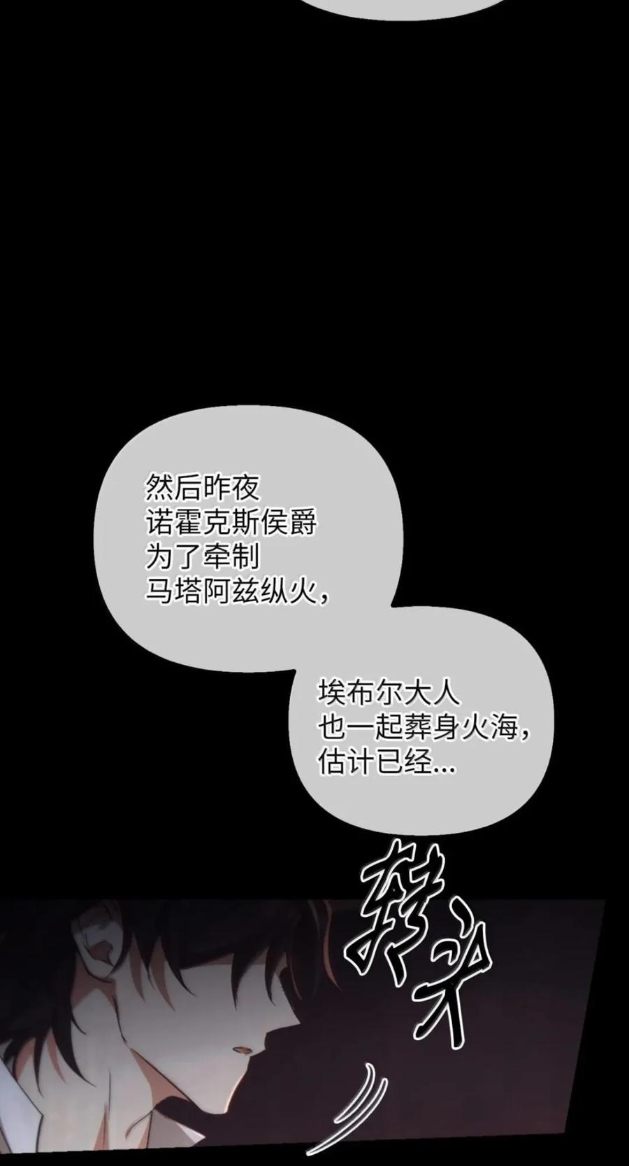 078 消失之谜 第51页