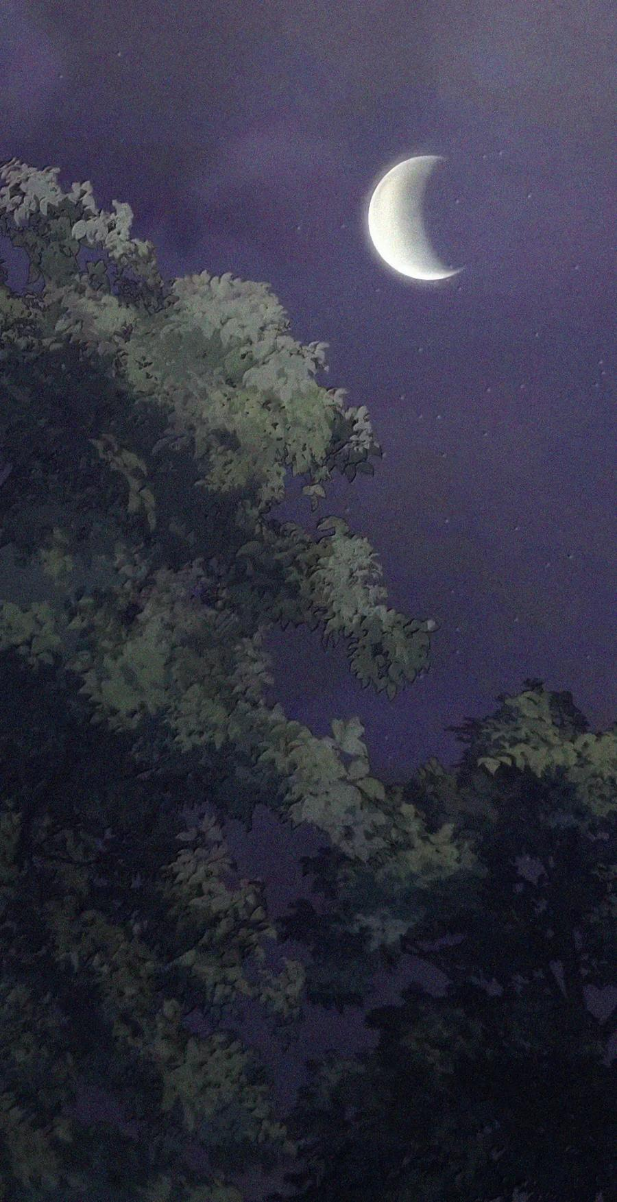 083 信任与裂痕 第153页