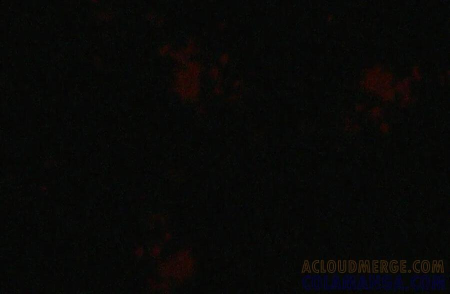 085 汤姆 第37页