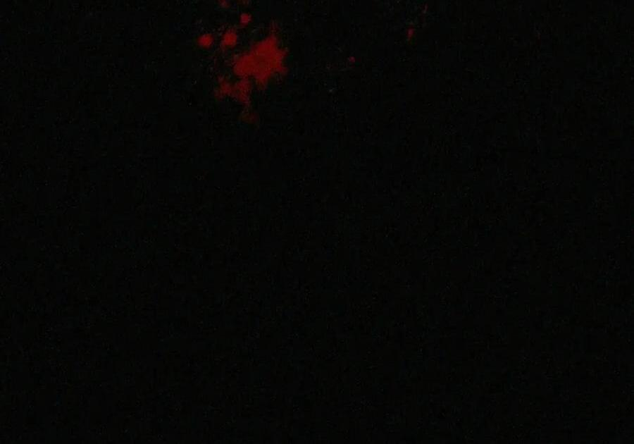 085 汤姆 第40页
