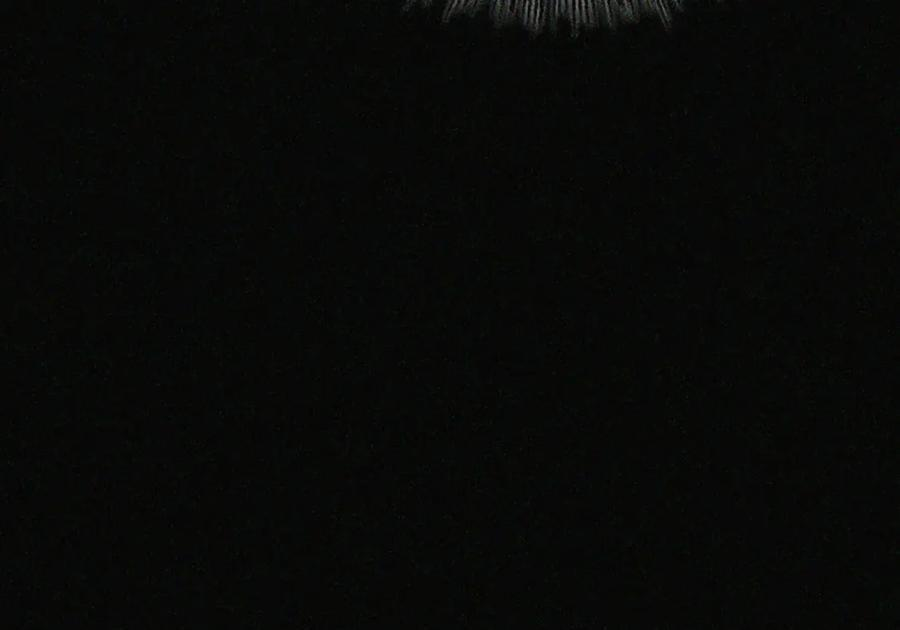085 汤姆 第72页