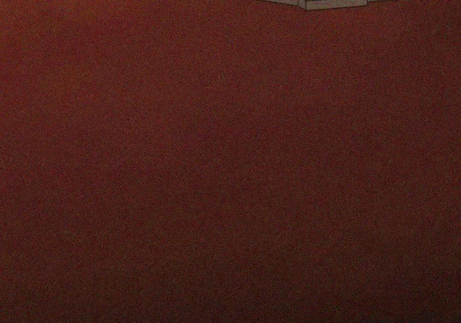 088 香油 第3页