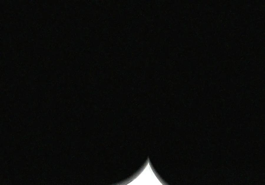088 香油 第13页