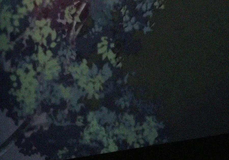 091 试炼 第142页