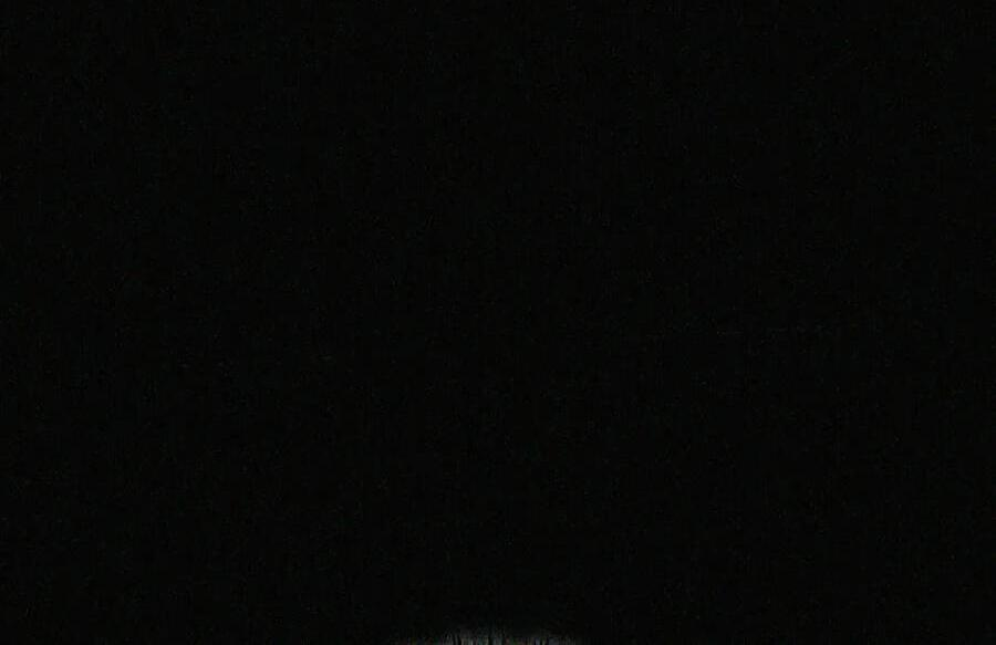 093 龙纹木牌 第56页