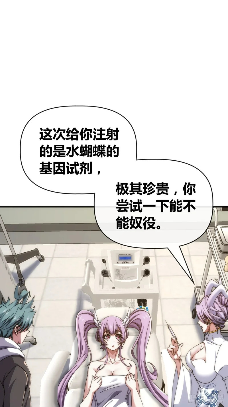 水蝴蝶 第23页