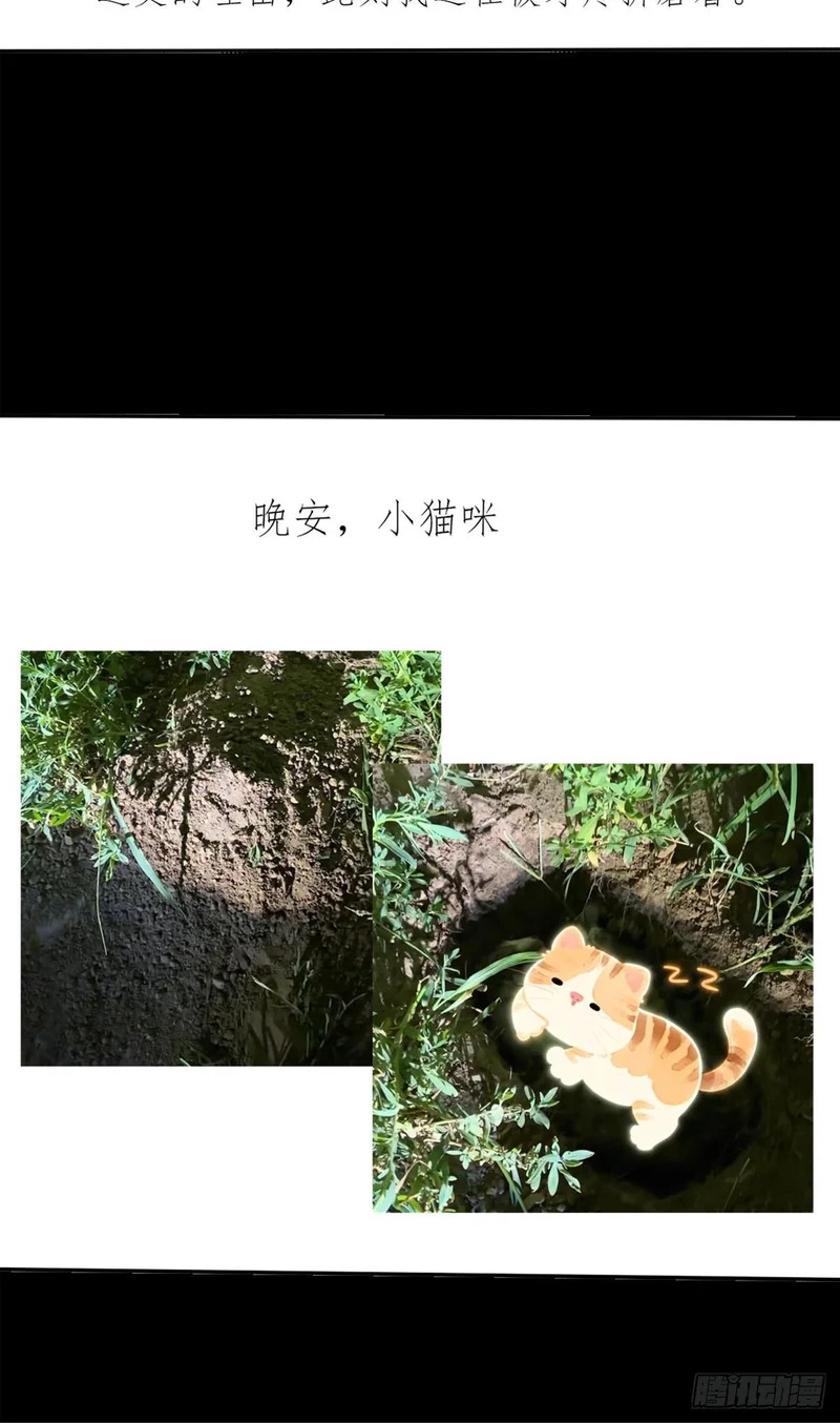 第一百零一章 再见陈铁削 第55页