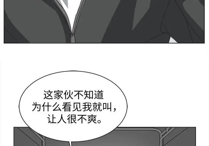 第75话 第81页