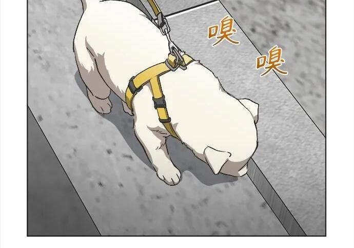 第81话 第64页