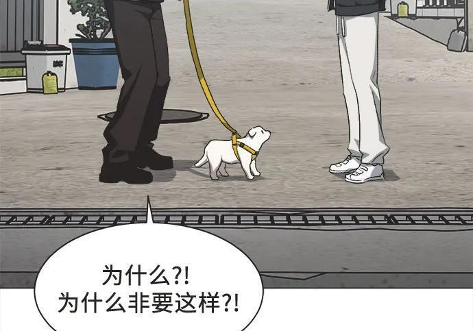 第89话 第43页