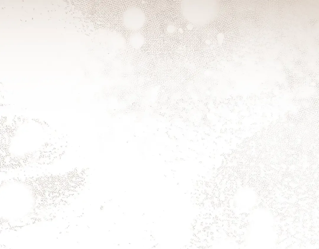 第51话 第一次相遇 第150页