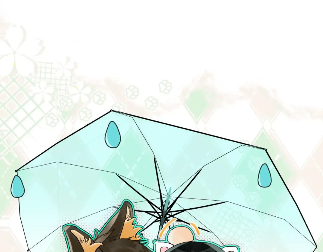 31 雨落 第113页