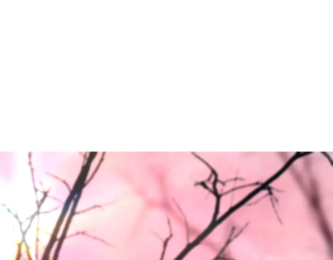 第55话 婚礼可以取消？ 第5页