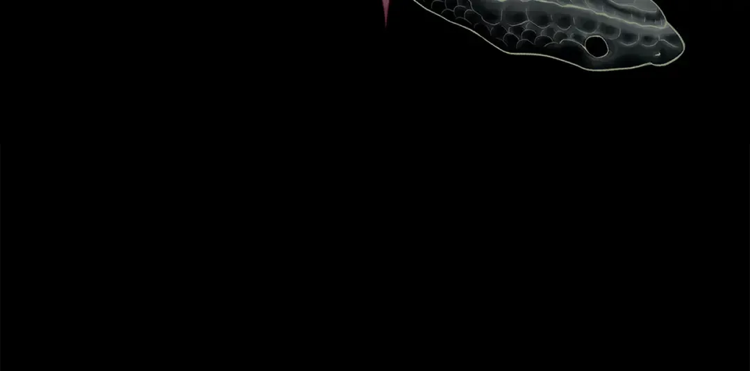 第58话 新郎的真实身份 第207页