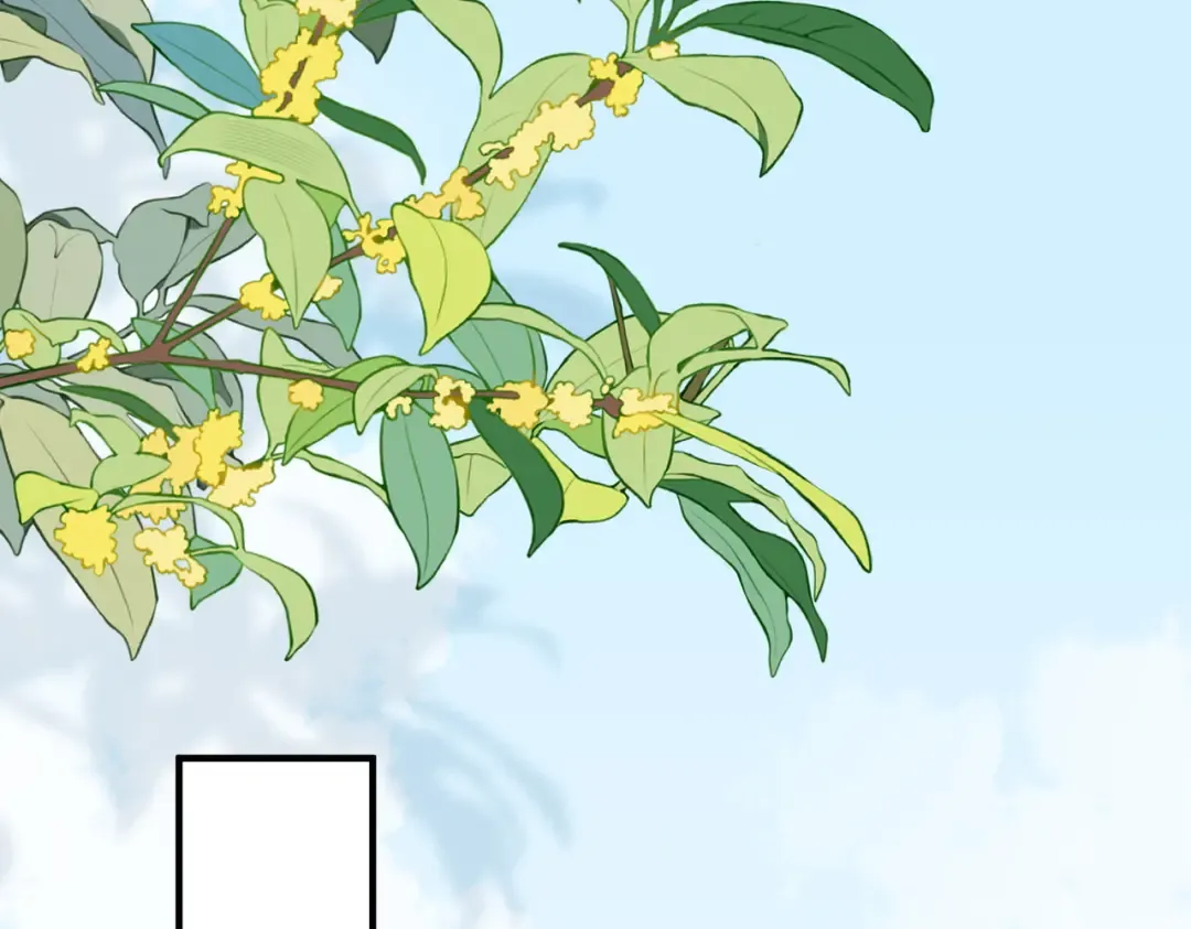 035话：照片 第24页