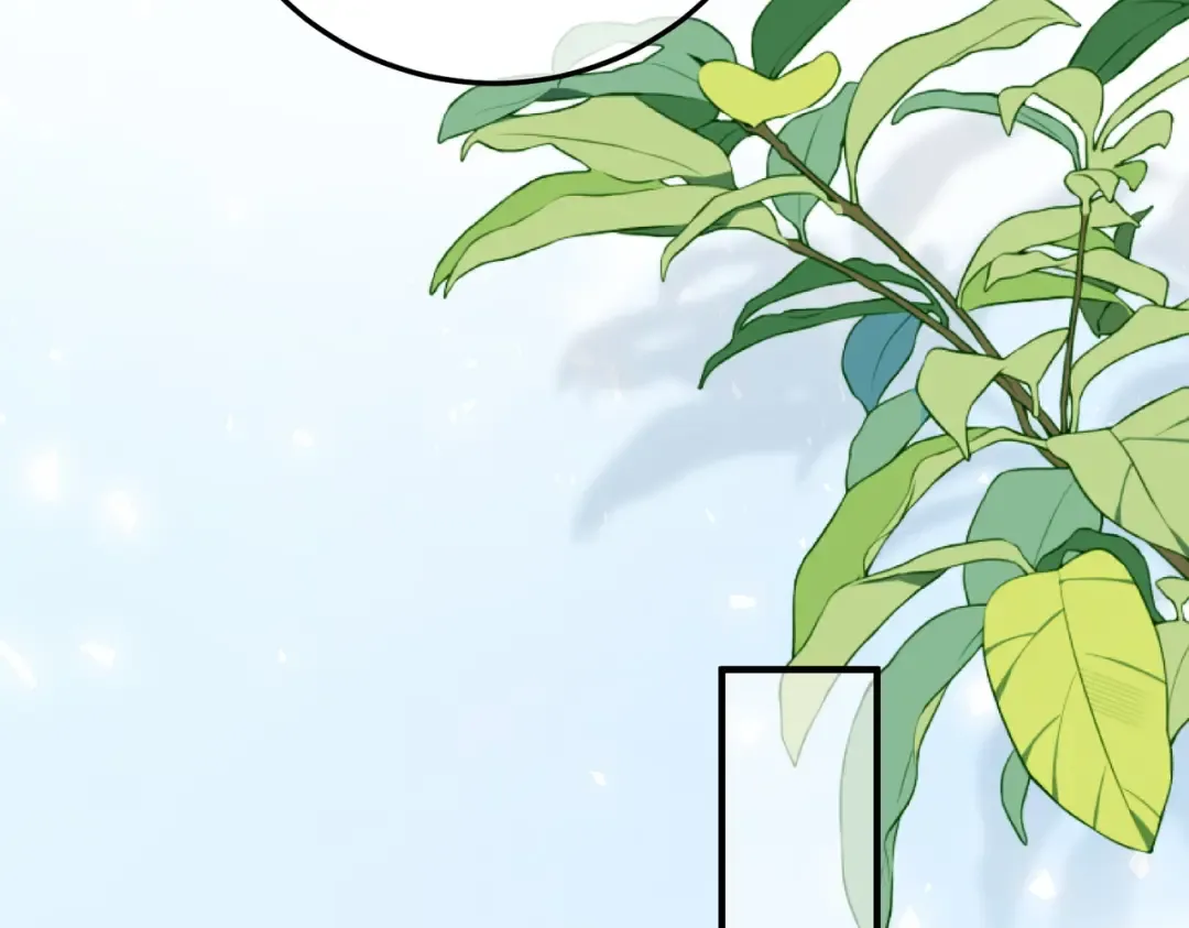 035话：照片 第41页