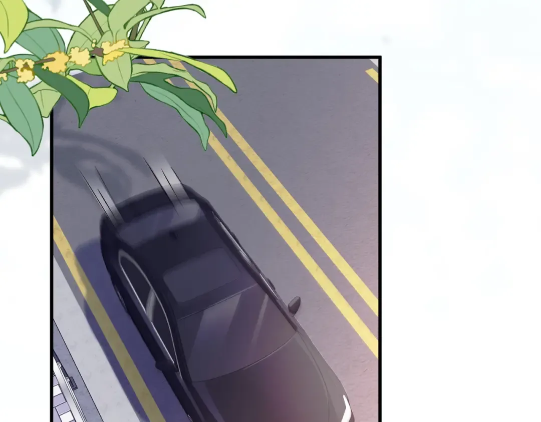 035话：照片 第43页