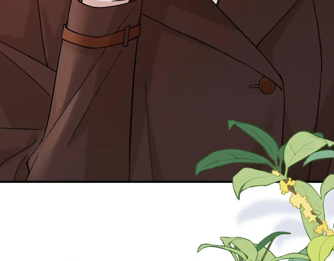 035话：照片 第101页