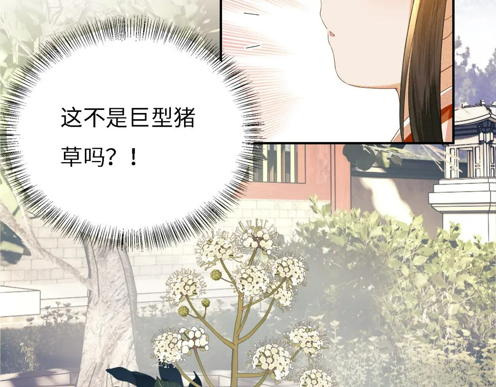 第55话 巨型猪草 第29页
