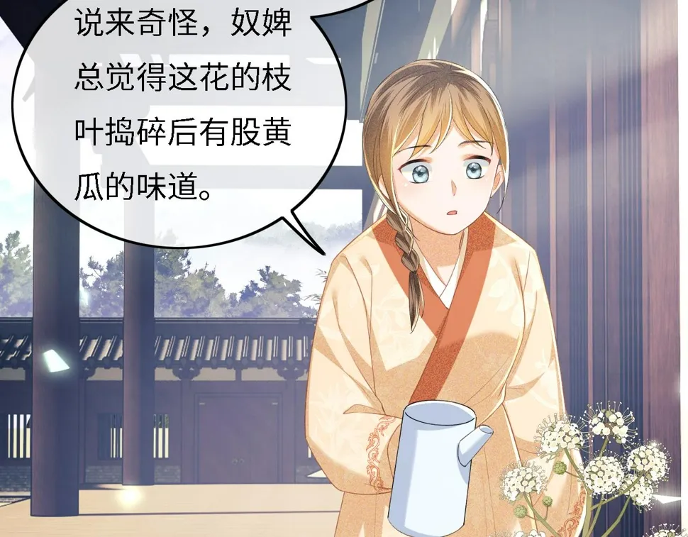 第55话 巨型猪草 第68页