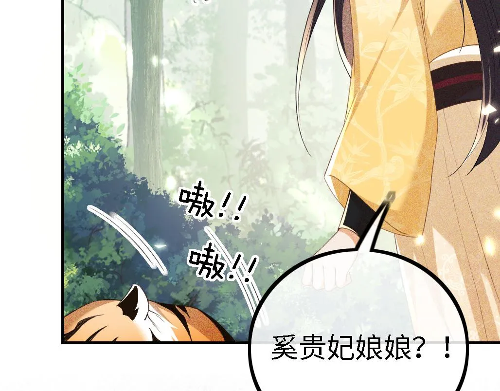 第70话 老虎袭击 第78页