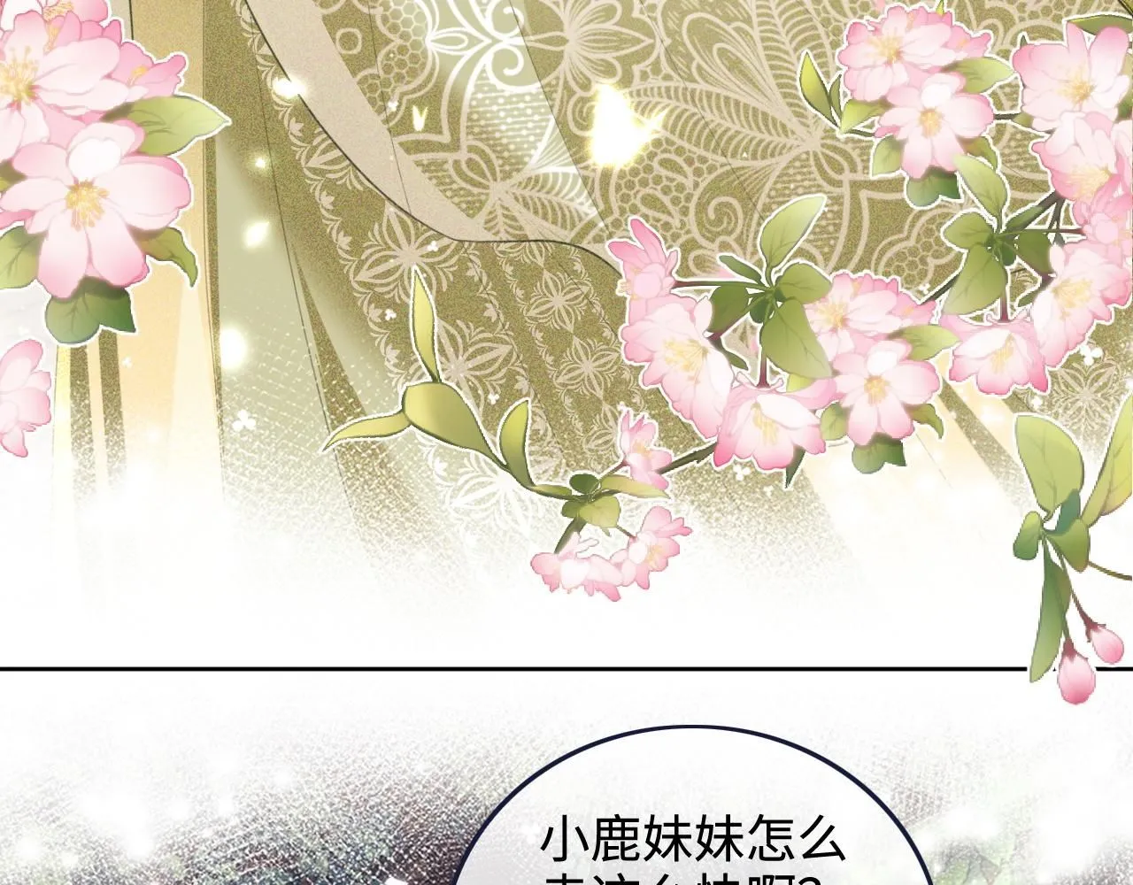 第78话 小鹿长大 第13页