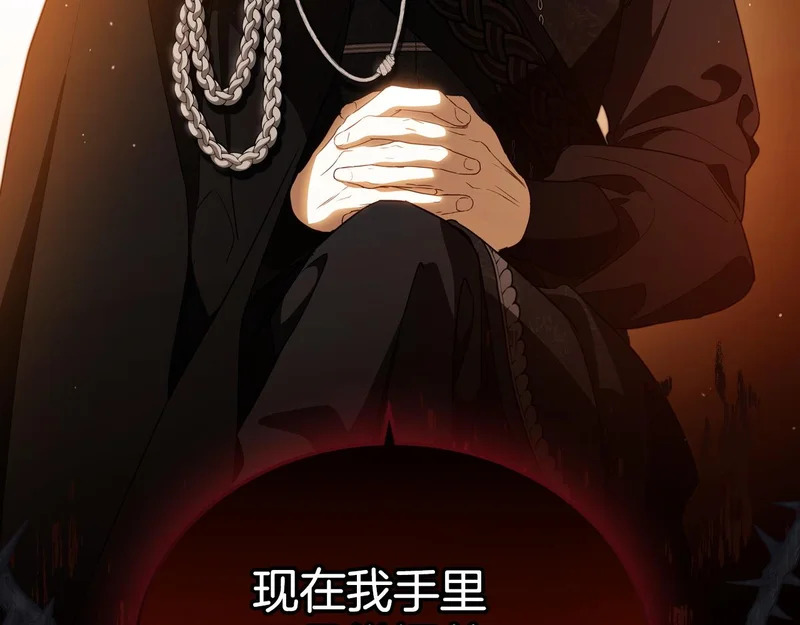 第208话 惩戒 第113页