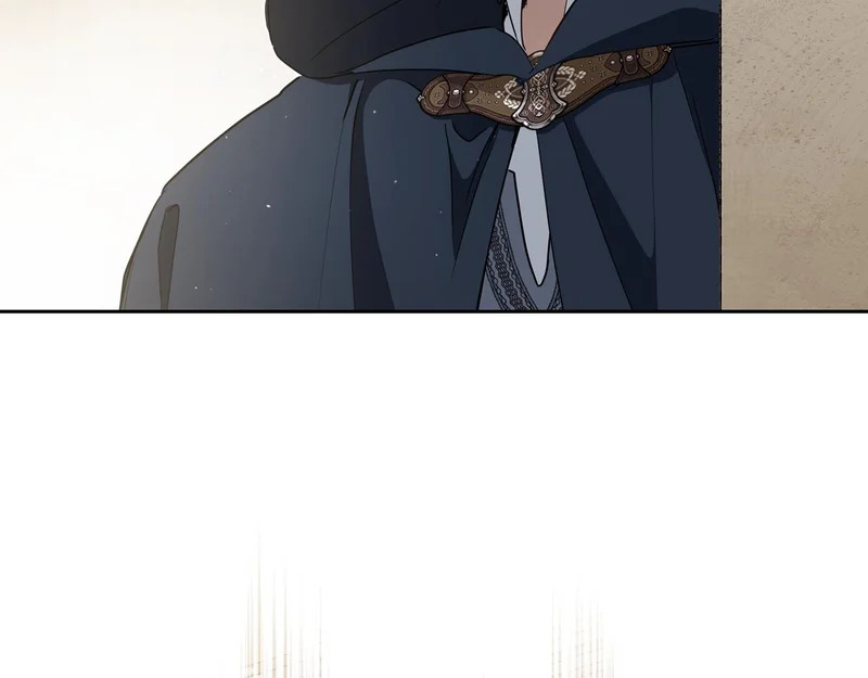第215话 躲避追捕 第129页