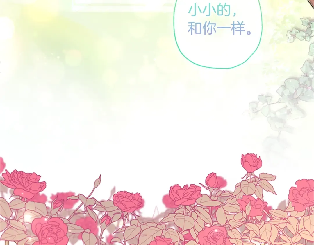第一季完结篇 安全感 第217页