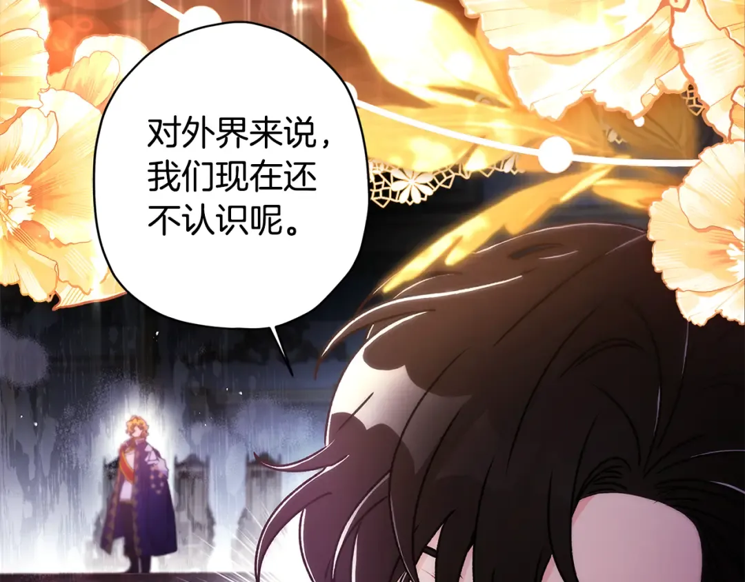 第159话 大皇子的生日宴 第106页