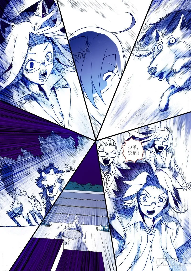 003 第17页