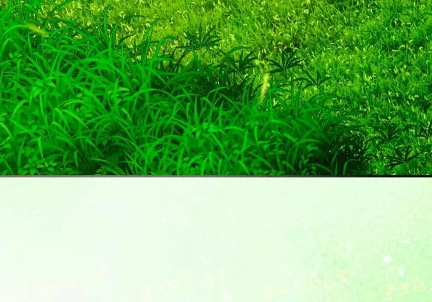 第92集 第226页