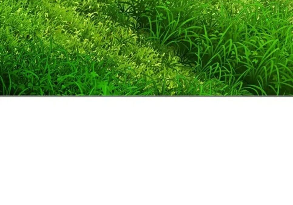 第92集 第126页