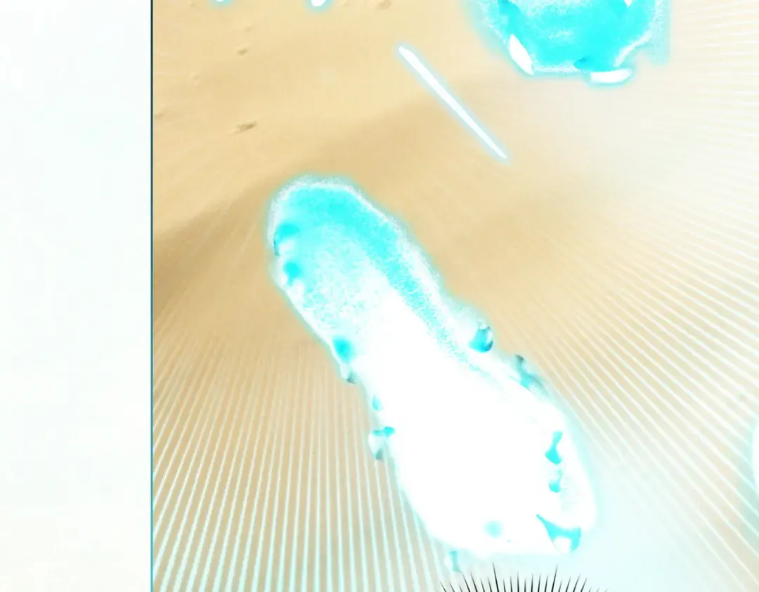 第49话 当年之事 第138页