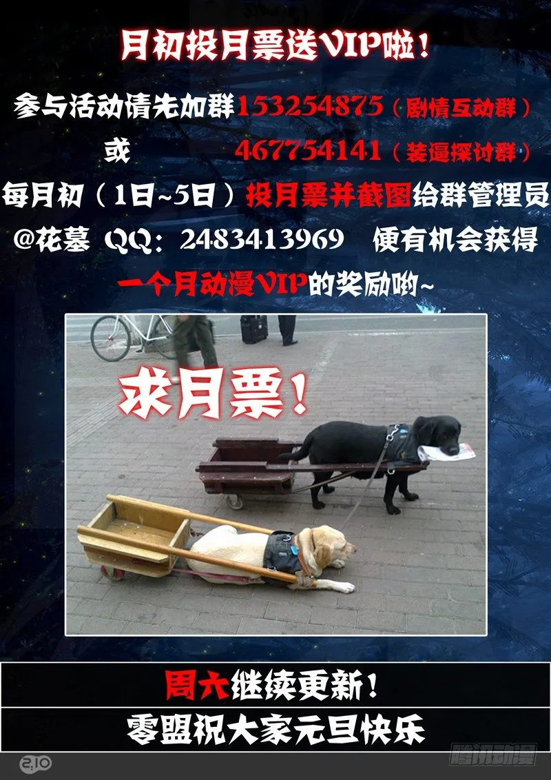 第114墓 第11页