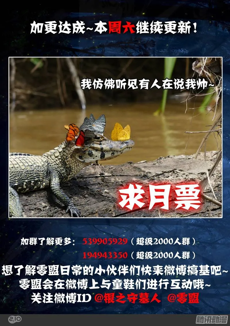 第211墓：大风根 第18页