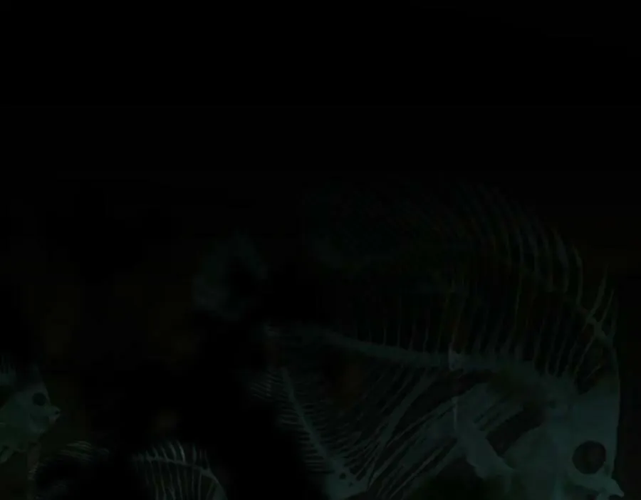 第202话 不解 第19页