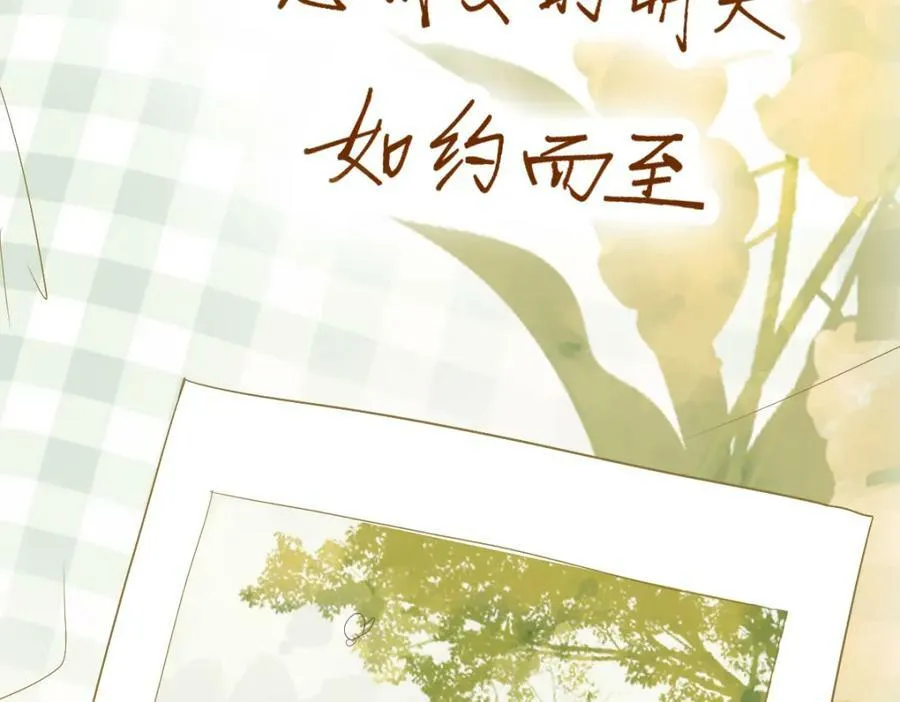 第204话 兄妹 第148页