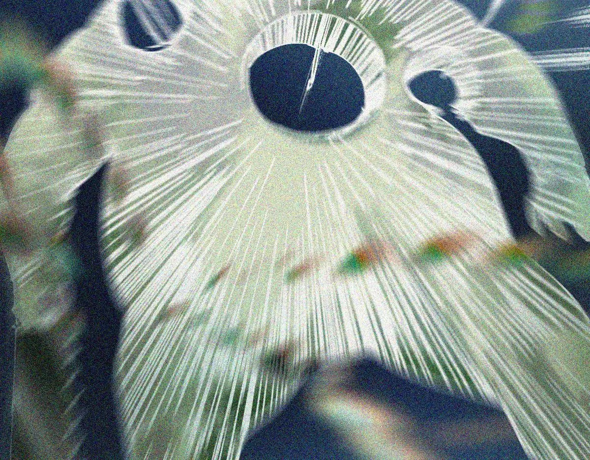 第127话 反抗！ 第34页